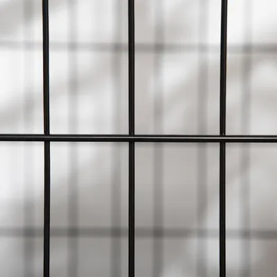 PawHut - cage d'intérieur 2 portes pour chien sur roulettes - noir