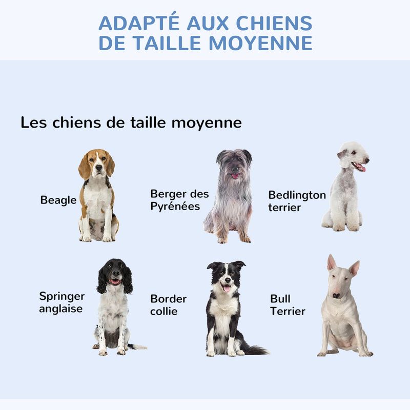 PawHut - cage d'intérieur pliable double porte pour chien - noir