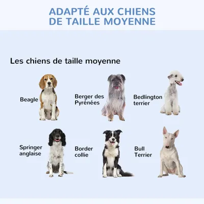 PawHut - cage d'intérieur pliable double porte pour chien - noir