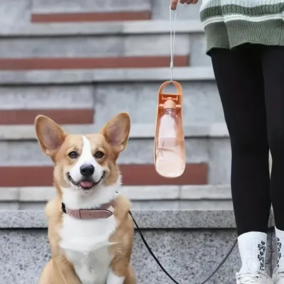 FurryFusion Bouteille d'eau pliable pour chien avec bol d'alimentation