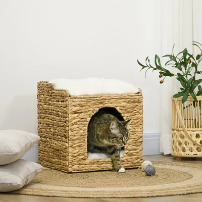 PawHut - Panier chat cosy grand confort coussins inclus jacinthe d'eau