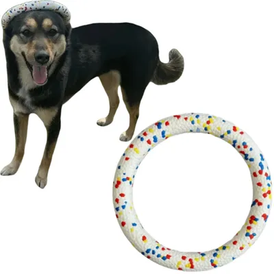 FurryFusion Anneau d'entraînement pour chien en ETPU résistant FurryFusion Anneau d'entraînement pour chien en ETPU résistant