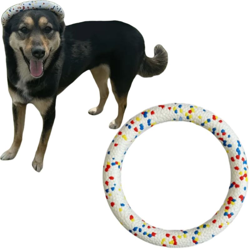 FurryFusion Anneau d'entraînement pour chien en ETPU résistant