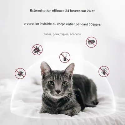 FurryFusion Gouttes antiparasitaires pour chats