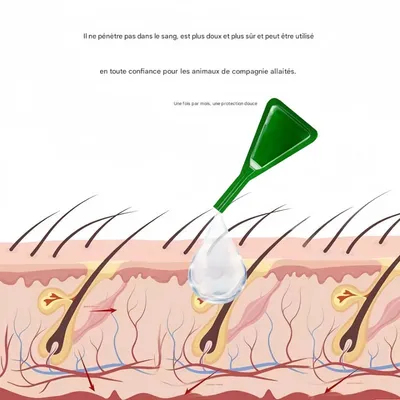 FurryFusion Gouttes antiparasitaires pour chats