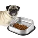 FurryFusion Gamelle carrée biseautée en acier inoxydable pour chien