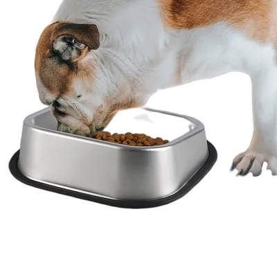 FurryFusion cuenco cuadrado biselado de acero inoxidable para perros