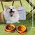 FurryFusion Bol en silicone pliable double pour chien de voyage