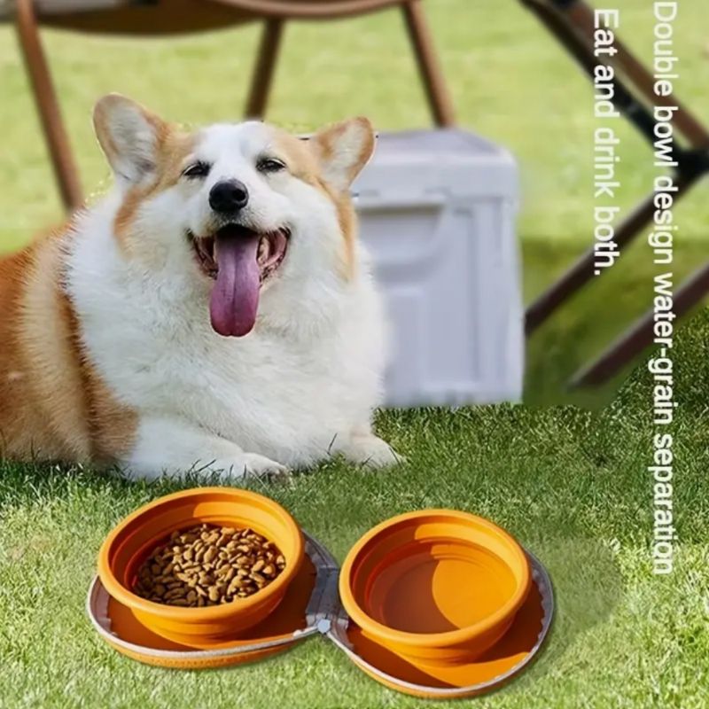 FurryFusion Bol en silicone pliable double pour chien de voyage