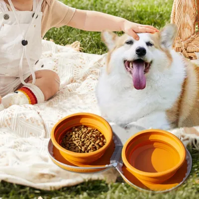 FurryFusion Bol en silicone pliable double pour chien de voyage