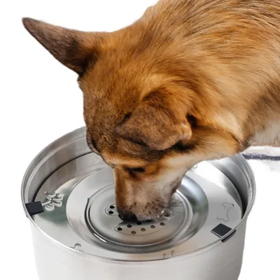 FurryFusion Abreuvoir flottant en acier inoxydable pour chats et chiens