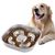 FurryFusion Gamelle carrée Slow Food pour chien