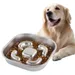 FurryFusion Gamelle carrée Slow Food pour chien
