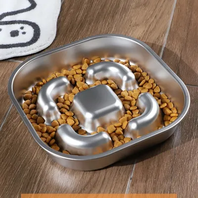 FurryFusion Gamelle carrée Slow Food pour chien