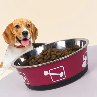 FurryFusion Bol rond en acier inoxydable pour chien