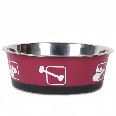 FurryFusion Bol rond en acier inoxydable pour chien