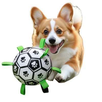 FurryFusion Ballon de football en PVC pour chien FurryFusion Ballon de football en PVC pour chien