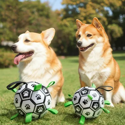 FurryFusion Ballon de football en PVC pour chien
