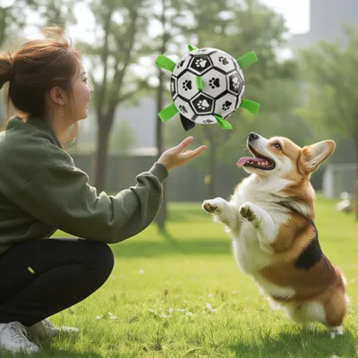 FurryFusion Ballon de football en PVC pour chien