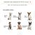 PawHut - Barrière modulable sécurité animaux H.61 cm - noir