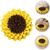 FurryFusion Tapis à renifler pour chat et chien en forme de tournesol