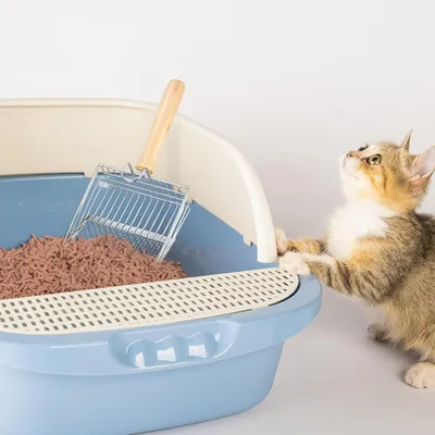 UAMLY Pelle à Litière en Métal pour Tamisage