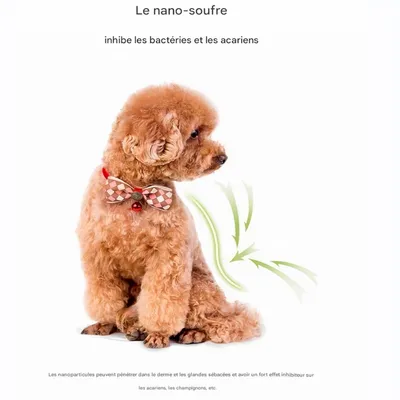 FurryFusion Gouttes antiparasitaires pour chiens