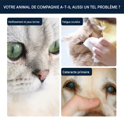 FurryFusion Gouttes pour les yeux pour petits animaux