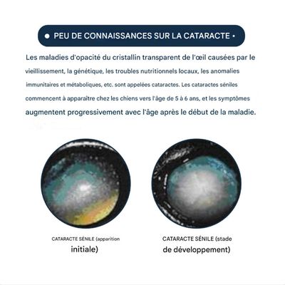 FurryFusion Gouttes pour les yeux pour petits animaux