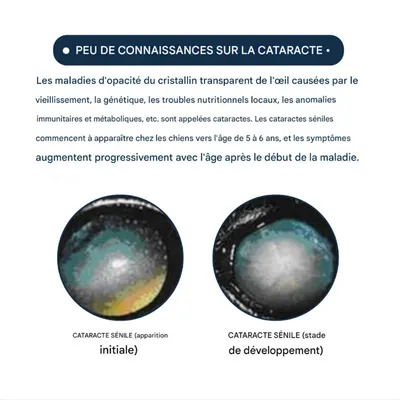 FurryFusion Gouttes pour les yeux pour petits animaux