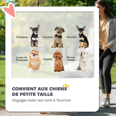 PawHut - poussette chien pliable H.103 cm - gris clair