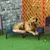 PawHut - Lit pour chien sur pieds Oxford micro-perforé bleu PawHut - Lit pour chien sur pieds Oxford micro-perforé bleu