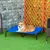 PawHut - Lit surélevé pour chien sac transport inclus bleu PawHut - Lit surélevé pour chien sac transport inclus bleu