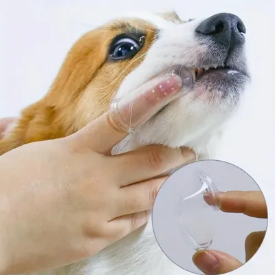 FurryFusion Brosse à dents en silicone 10 pièces FurryFusion Brosse à dents en silicone 10 pièces