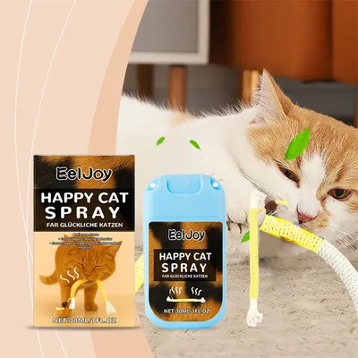FurryFusion Spray de menthe poivrée pour chats