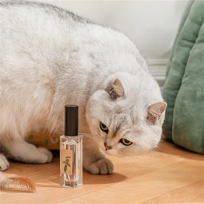 FurryFusion Spray anti-anxiété pour chat FurryFusion Spray anti-anxiété pour chat