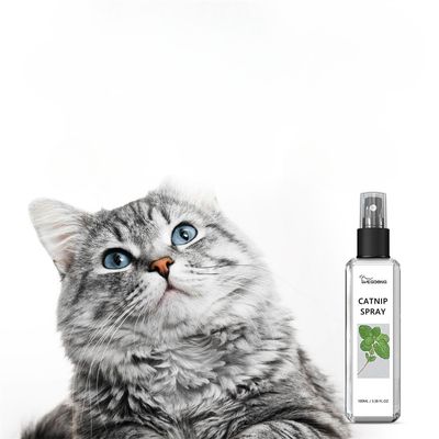FurryFusion Spray au Menthe pour Chats 100ml
