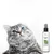 FurryFusion Spray au Menthe pour Chats 100ml