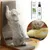FurryFusion Spray au Menthe pour Chats 100ml