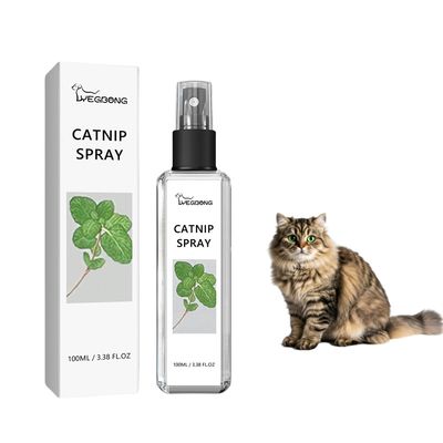 FurryFusion Spray au Menthe pour Chats 100ml