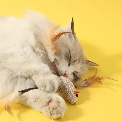 FurryFusion Bâtonnet de Matatabi pour chats