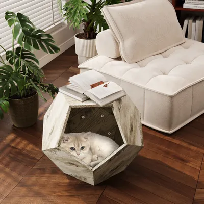 Table d'Appoint Moderne pour Chat, Mobilier Multifonction MDF Chêne