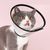 UAMLY Collerette en Plastique Protecteur de Cou Réglable pour Chien