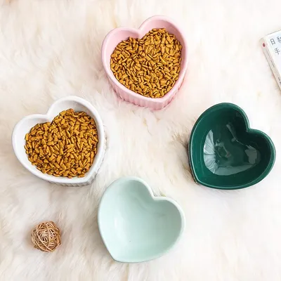 UAMLY Gamelle Chat Surélevée et Inclinée