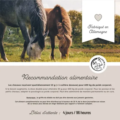 Annimally Le plaisir de bouger