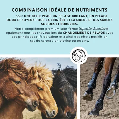 Annimally Biotine Liquide