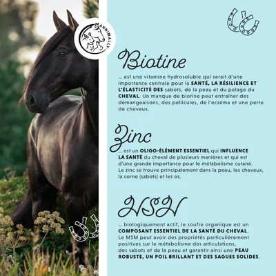 Annimally Biotine Liquide