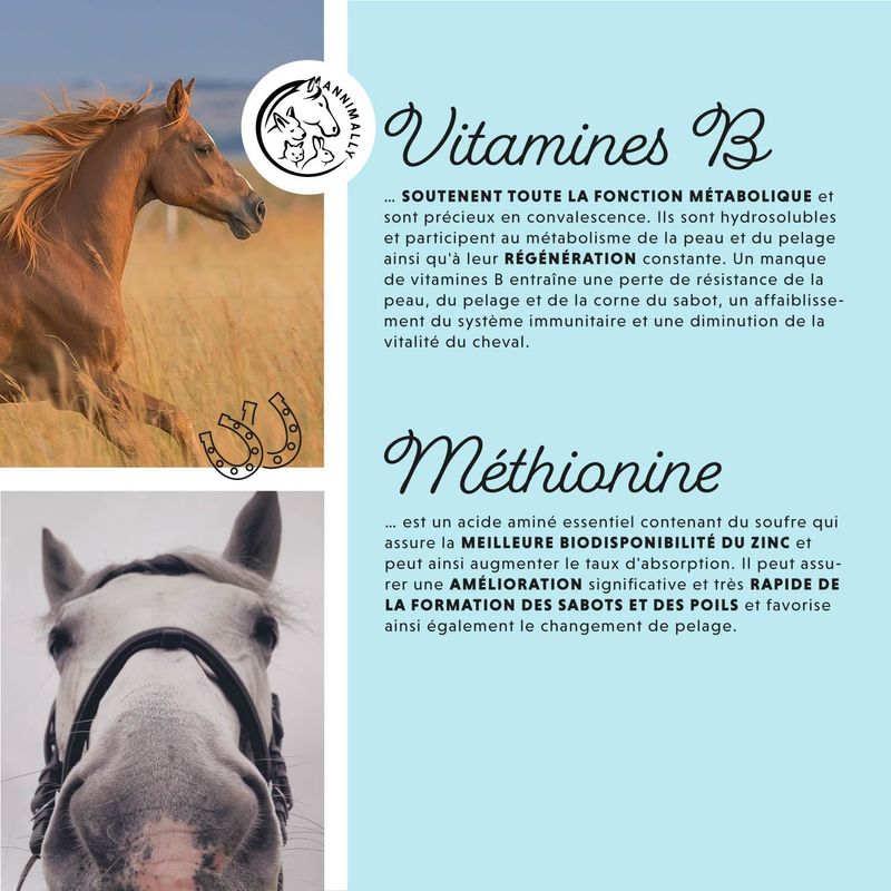 Annimally Biotine Liquide