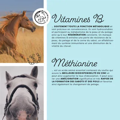 Annimally Biotine Liquide