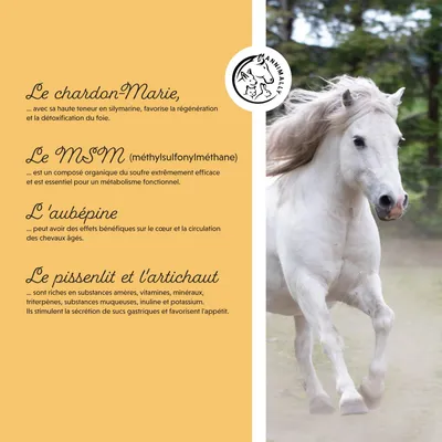 Annimally Vitalité Senior